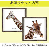 マッチングジャパン フチなし ラミあり フレームステッカー リアル動物『動物_06』 CO-9048-AS 1個(2枚セット)（直送品）