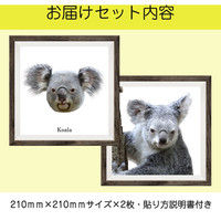 マッチングジャパン フチなし ラミあり フレームステッカー リアル動物『動物_07』 CO-9049-AS 1個(2枚セット)（直送品）
