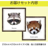 マッチングジャパン フチなし ラミあり フレームステッカー リアル動物『動物_08』 CO-9050-AS 1個(2枚セット)（直送品）