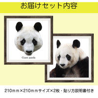 マッチングジャパン フチなし ラミあり フレームステッカー リアル動物『動物_11』 CO-9053-AS 1個(2枚セット)（直送品）