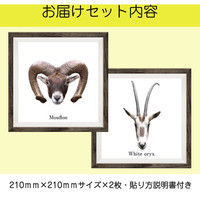 マッチングジャパン フチなし ラミあり フレームステッカー リアル動物『動物_12』 CO-9054-AS 1個(2枚セット)（直送品）