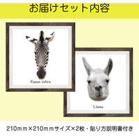 マッチングジャパン フチなし ラミあり フレームステッカー リアル動物『動物_15』 CO-9057-AS 1個(2枚セット)（直送品）