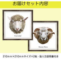 マッチングジャパン フチなし ラミあり フレームステッカー リアル動物『動物_16』 CO-9058-AS 1個(2枚セット)（直送品）