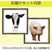 マッチングジャパン フチなし ラミあり フレームステッカー リアル動物『動物_17』 CO-9059-AS 1個(2枚セット)（直送品）