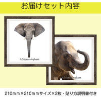 マッチングジャパン フチなし ラミあり フレームステッカー リアル動物『動物_19』 CO-9061-AS 1個(2枚セット)（直送品）