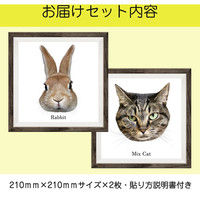 マッチングジャパン フチなし ラミあり フレームステッカー リアル動物『動物_20』 CO-9062-AS 1個(2枚セット)（直送品）