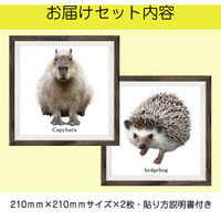 マッチングジャパン フチなし ラミあり フレームステッカー リアル動物『動物_22』 CO-9064-AS 1個(2枚セット)（直送品）