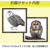 マッチングジャパン フチなし ラミあり フレームステッカー リアル動物『動物_24』 CO-9066-AS 1個(2枚セット)（直送品）