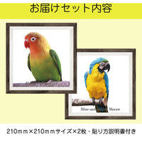 マッチングジャパン フチなし ラミあり フレームステッカー リアル動物『動物_25』 CO-9067-AS 1個(2枚セット)（直送品）