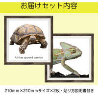 マッチングジャパン フチなし ラミあり フレームステッカー リアル動物『動物_27』 CO-9069-AS 1個(2枚セット)（直送品）