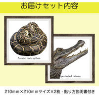 マッチングジャパン フチなし ラミあり フレームステッカー リアル動物『動物_28』 CO-9070-AS 1個(2枚セット)（直送品）