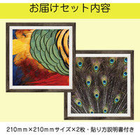 マッチングジャパン フチなし ラミあり フレームステッカー リアル動物『動物_32』 CO-9074-AS 1個(2枚セット)（直送品）