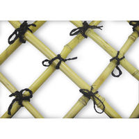 ファミリー・ライフ お買得目隠し竹垣 2枚組 横型 0335810 1セット