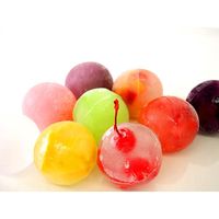 富士パックス販売 マドーレ ラウンドアイス2個組 FP-273 2個（直送品）