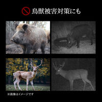 トレイルカメラ　防犯カメラ　動物・獣害対策　屋外　工事不要　乾電池式　CMS-SC01GY　サンワサプライ　1台（直送品）