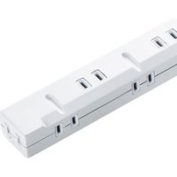延長コード 電源タップ 2m 2P（ピン） 8個口 USB充電ポート搭載 ホワイト TAP-SLIM8U-2 サンワサプライ 1個