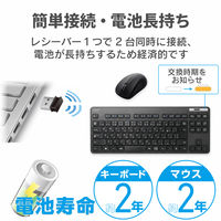 ワイヤレスキーボード マウスセット 無線 テンキーレス コンパクト メンブレン 薄型 TK-FDM109MBK エレコム 1個（直送品）