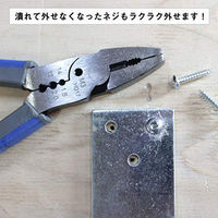 イトー TSP-01/ネジも回せるペンチ TSP-01 1個