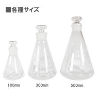 ビッグマン 共栓三角フラスコ500ml6-016-08 051968 1個