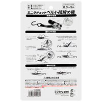 ビッグマン ミニラチェットベルト荷締め機3m MRB-13 1個