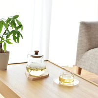 フレーバーライフ社 シングルハーブティー ペパーミント 29022 1セット(100個:50個入（直送品）