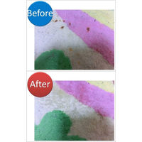 創コミュニケーションズ 布製品汚れ取りの匠 300g HB-001 1本