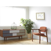 大仙 賞状額 J602 A3(大) J602B3401 5枚