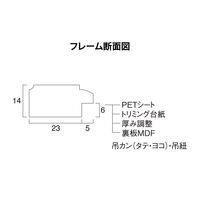大仙 カノエ PET SP B5(大) ブラウン 33J635D1601 1セット(1個×5)