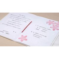 大直 大礼紙 白 B4 50枚入 206050101 10セット(500枚:50枚×10)