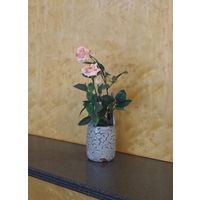 富士パックス販売 Reペタ「ラージサイズ」 4520434083203 1セット（10個）（直送品）