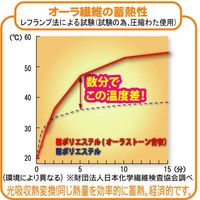 富士パックス販売 オーラ岩盤ぽかぽか足湯気分 4562107317901（直送品）