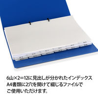 プラス レセプト用４～３月インデックス ６山×２ 98080 1組 事務用品 月別 A4 印刷済 ポリプロピレン製