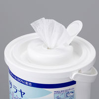 サラヤ エタノールクロス80 本体 441606 1個（250枚入）