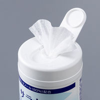 サラヤ エタノールクロス80 本体 441620 1個（80枚入）