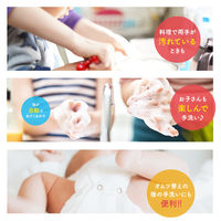 ミューズ ノータッチ 泡 ハンドソープ 詰替 フルーティフレッシュ 250mL （約250回分） 1箱（12個入）【泡タイプ】レキットベンキーザー・ジャパン