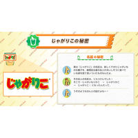 カルビー じゃがりこサラダ 1箱（16g×48袋入）