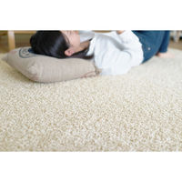 スミノエ 防炎ラグ スミトロンニューツイスティ 円形 1500×1500mm アイボリー 4955141372416 1枚（直送品）