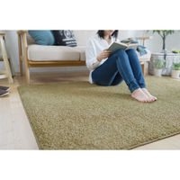 スミノエ 防炎ラグ スミトロンニューツイスティ 2610×3520mm イエローグリーン 4549781206981 1枚（直送品）