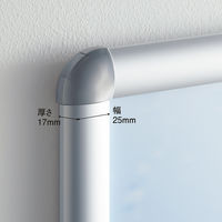 ウィルフレームプラス 低反射タイプ A2 シルバー 3枚 アートプリントジャパン