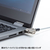 サンワサプライ 小型セキュリティスロット(NobleWedge)対応セキュリティワイヤー シルバー シリンダ錠/2m SLE-35S 1本（直送品）