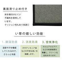 イケヒコ い草ラグ ラグ カーペット 2畳 正方形 『CX金魚』 幅1760×奥行1760mm ナチュラル 1071570012810 1枚（直送品）