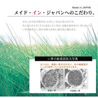 イケヒコ い草ラグ 国産 カーペット 『Fナール』 幅1910×奥行2500mm ネイビー 8231580 1枚（直送品）
