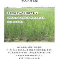 イケヒコ い草ラグ 国産 カーペット 『Fレパード』 幅1400×奥行2000mm グレー 1050500132303 1枚（直送品）