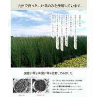 イケヒコ 玄関マット 室内 国産い草 『Fグラデーション』 幅600×奥行900mm ブルー 1080240014604 1枚（直送品）