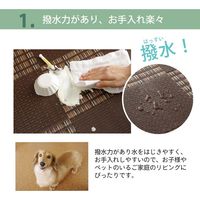 イケヒコ ラグ PPカーペット 『Fウィード』 江戸間3畳 幅1760×奥行2610mm ブラウン 1090281061003 1枚（直送品）