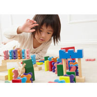 エド・インター ドキドキドミノ 1セット