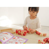 エド・インター 脳活キューブ 知育玩具 1セット