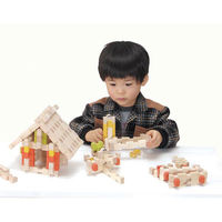 エド・インター ユークリッドブロック 600ピース 積み木 1セット