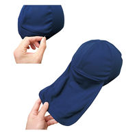 ブレイン クールヘッド+プラス(保冷剤別売) BR-558 1個