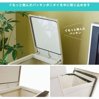 アスベル 分別ダストボックスパッキン付ペダル2段スリム38L 4974908680182 1個